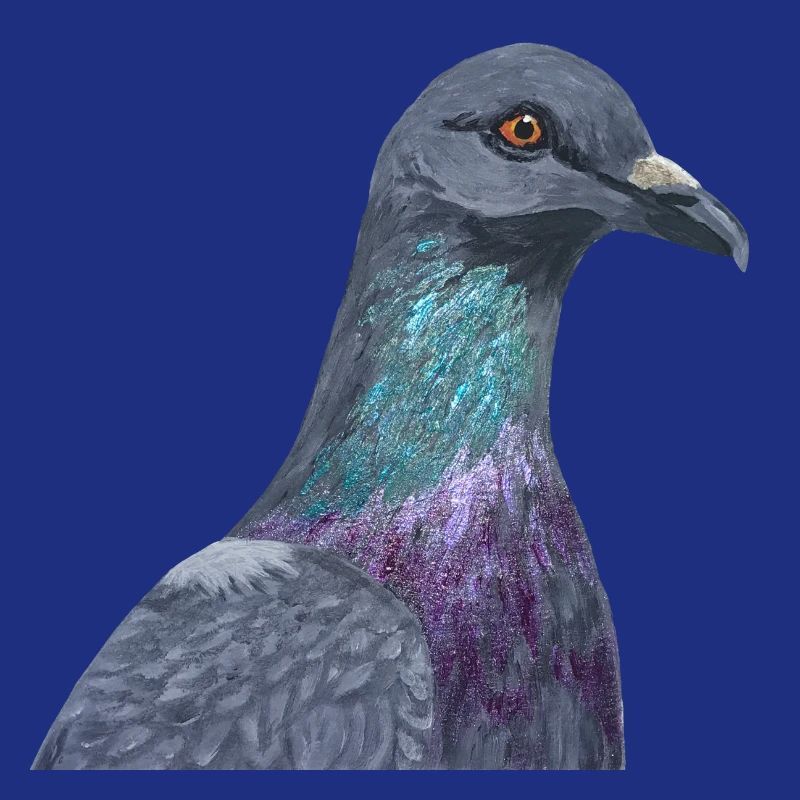 Colombe