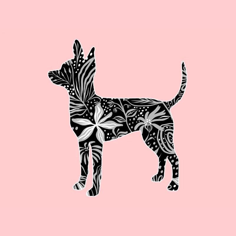 Fleur de chien de rat de Prague