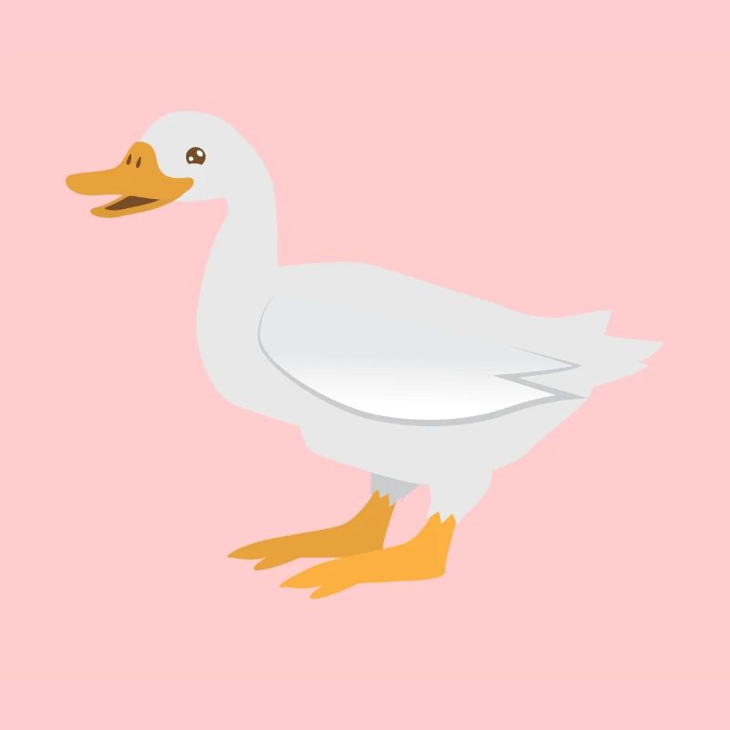 Standing white duck