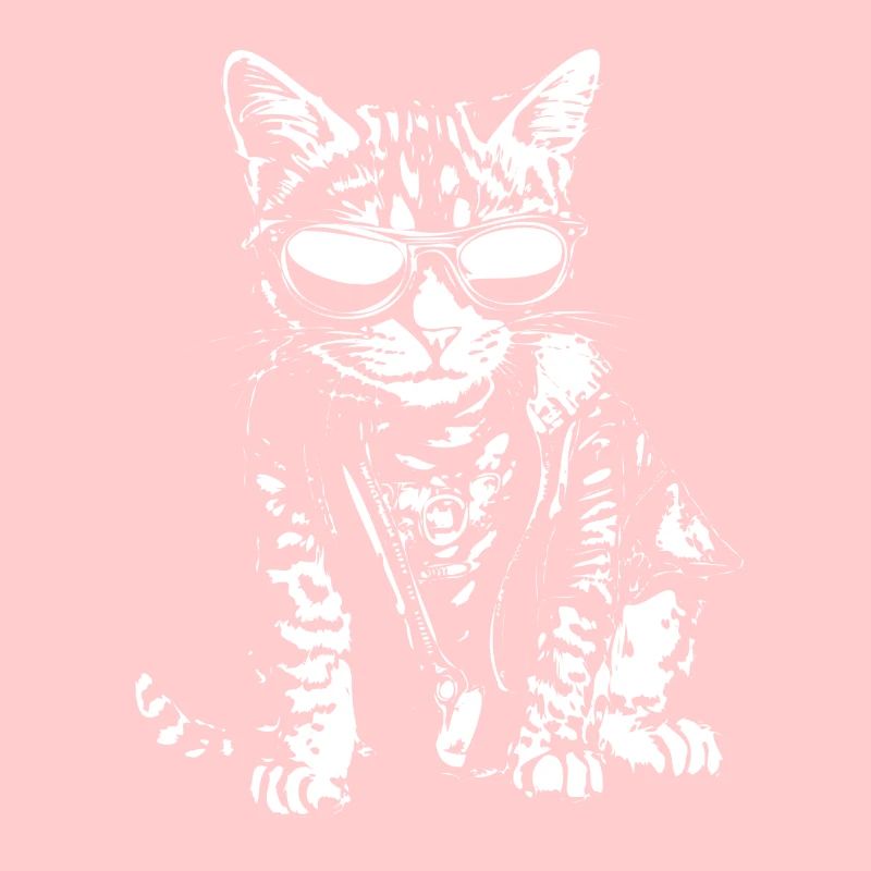 Katze mit Sonnenbrille