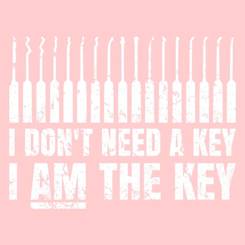 Lockpicking Lock Picking Tool