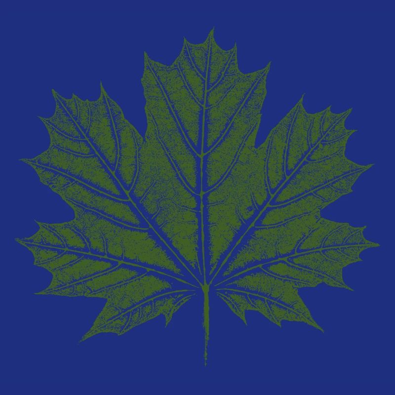 Maple Leaf / Leaf - BOTANICAL Maple