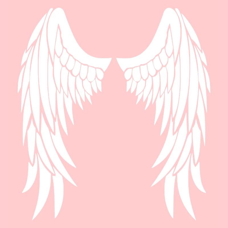 ailes d'anges