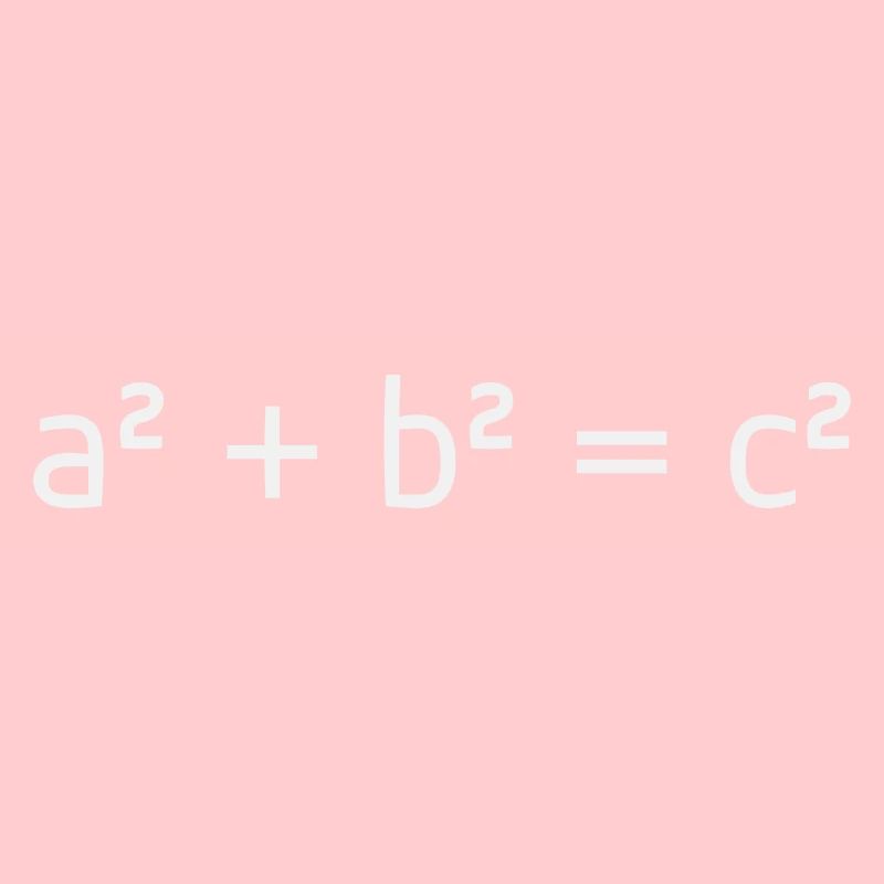 Math Theorem of Pythagoras Gift Idea