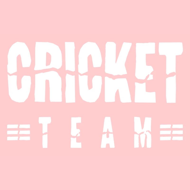 Équipe de cricket