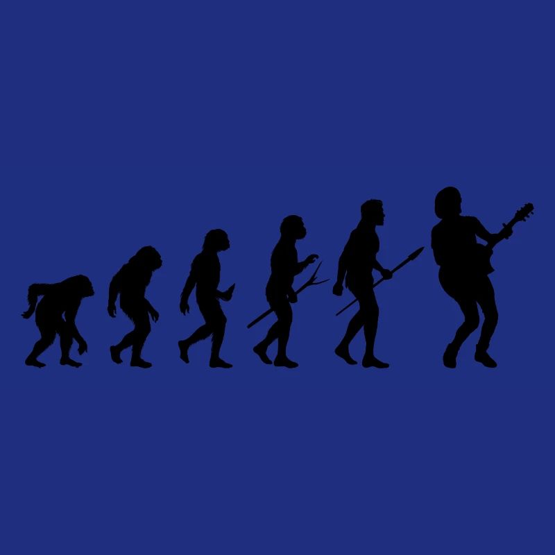 guitar guitare evolution