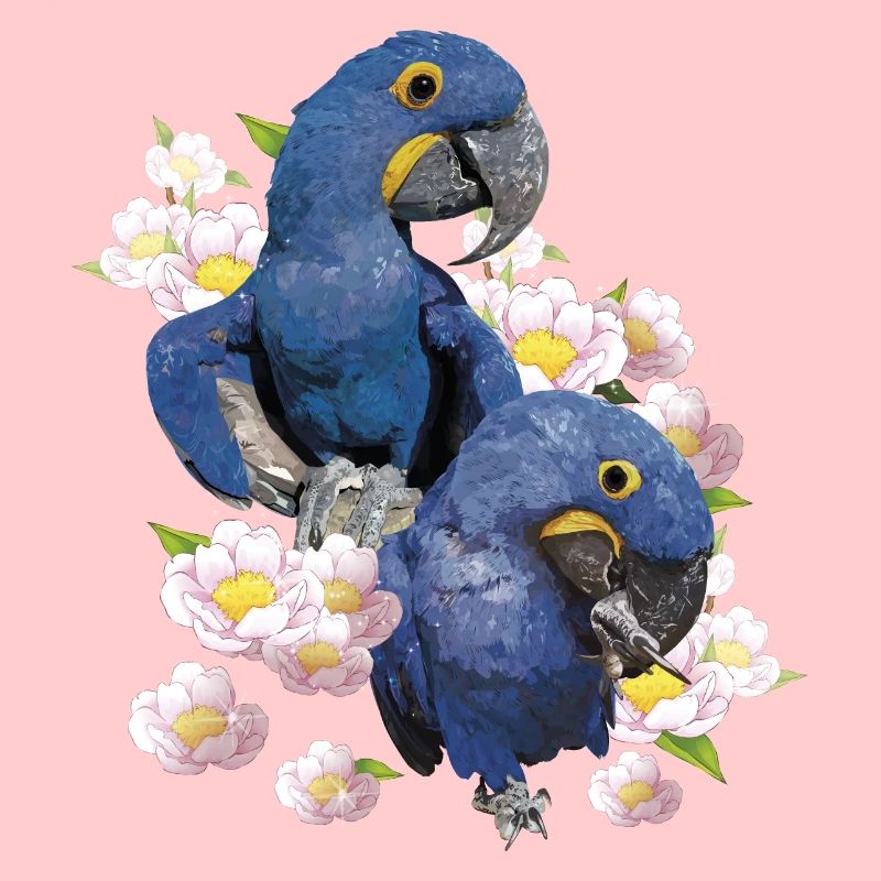 Ara jacinthe