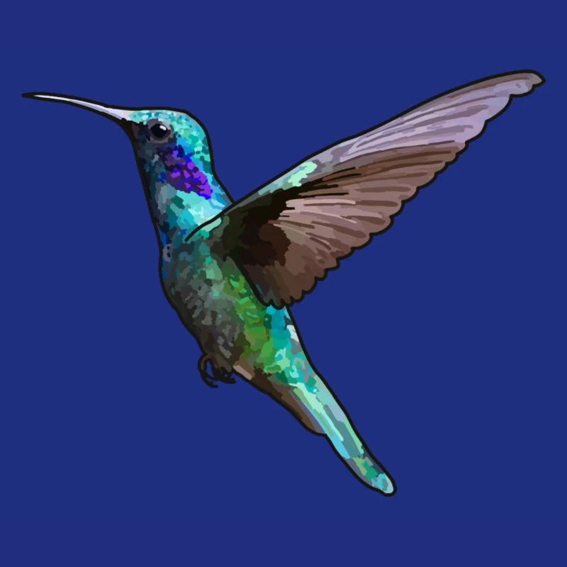 Kolibri