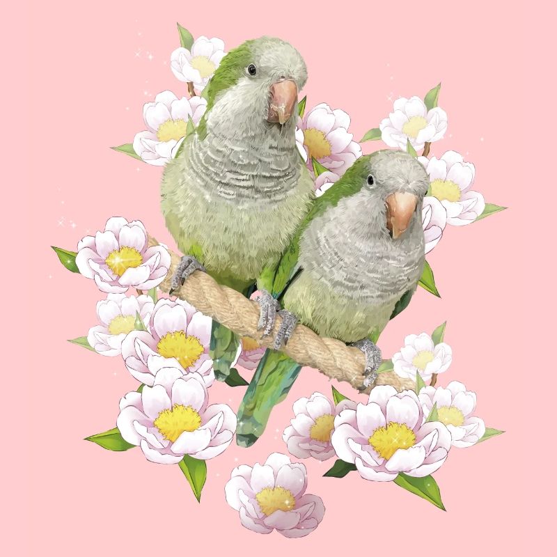 Argentine Parakeet