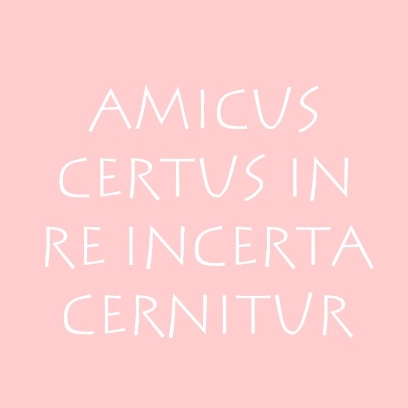 Amicus certus in re incerta cernitur