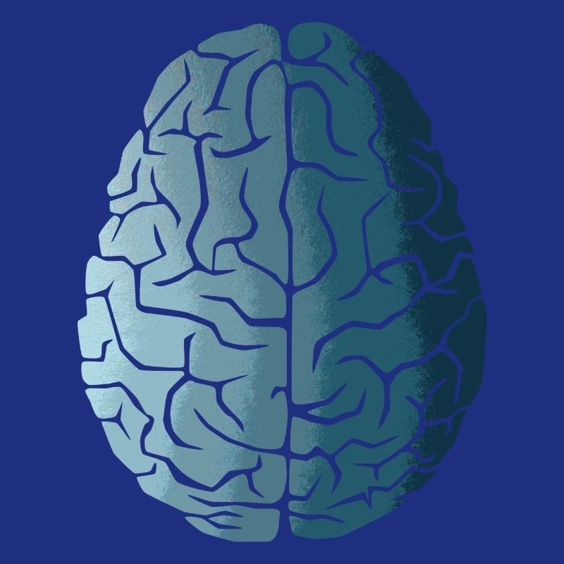 Évolution du cerveau
