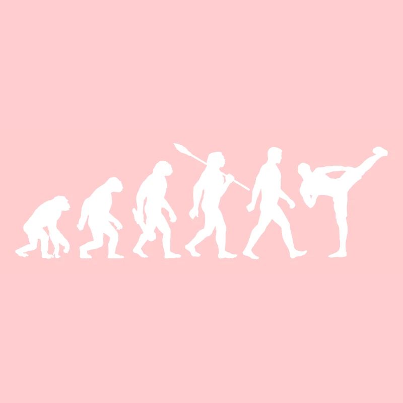 Evolution - MMA - Martial Arts