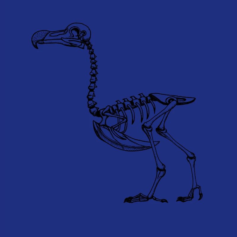Dodo-Skelett