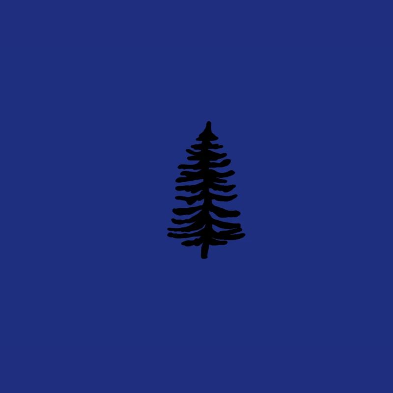fir tree