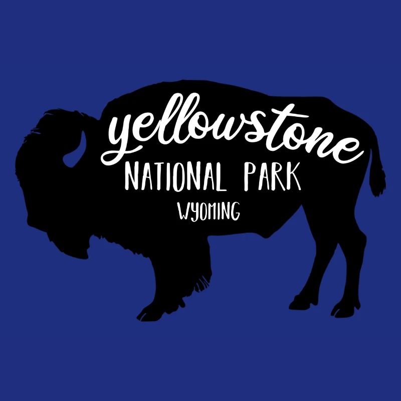 Yellowstone NP Bison Farbe schwarz