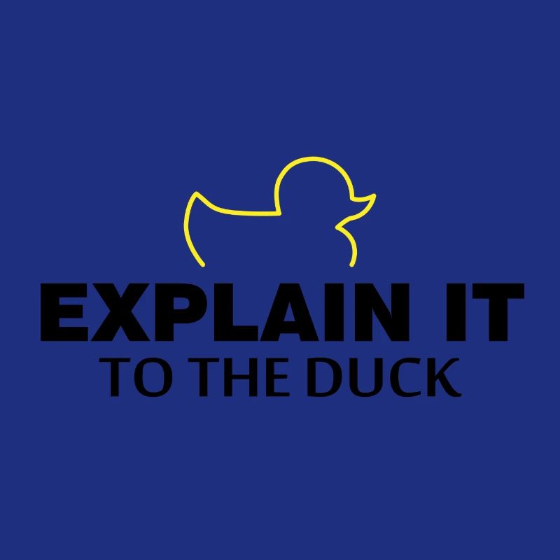 Expliquez-le au cadeau du programmeur de nerd de canard