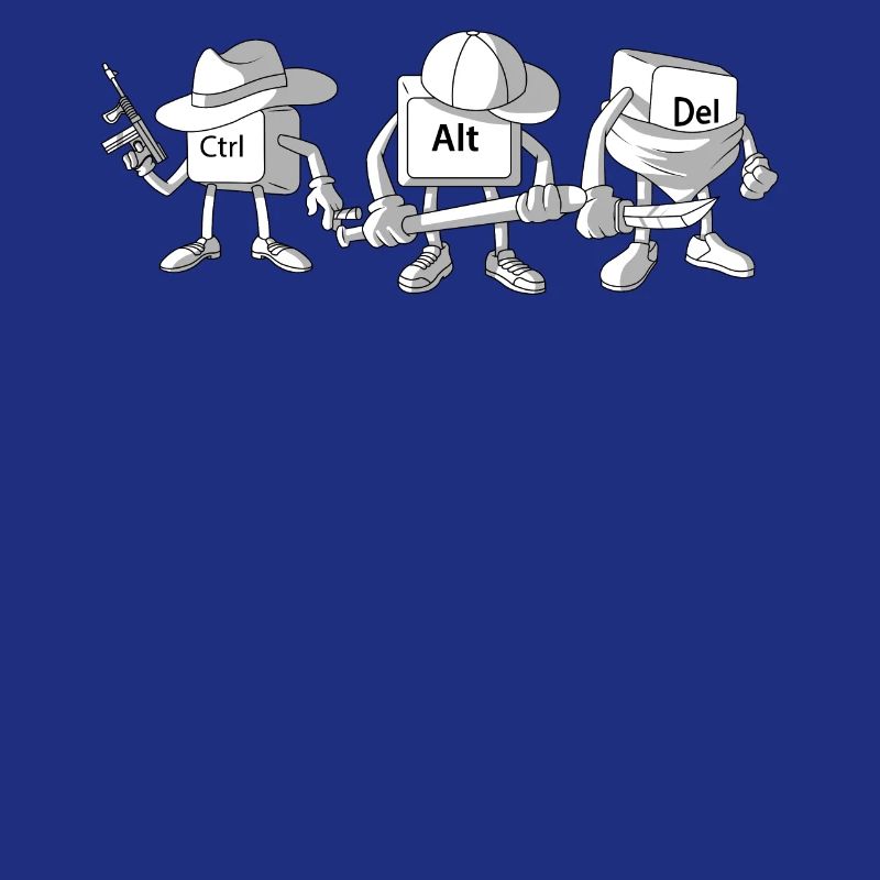 Software Entwickler Software Entwickler Web Develo