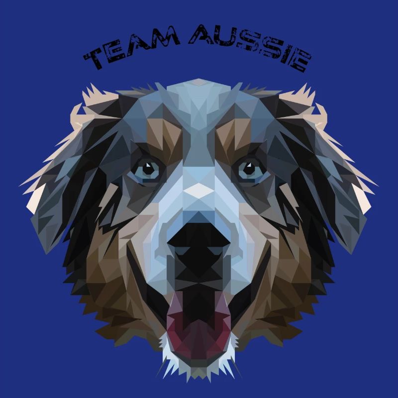 Aussie in polygon design - geometry