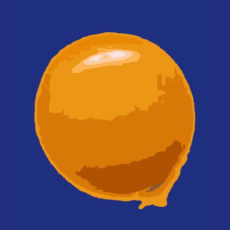 Spiegelei Kostüm Halloween Karneval Eigelb Dotter