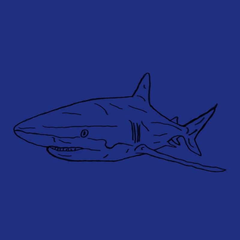 Requin