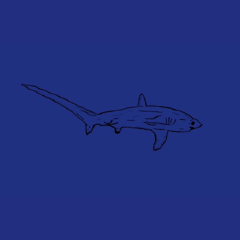 Requin-renard