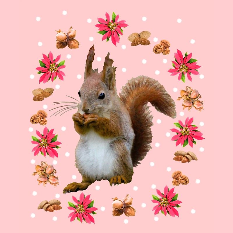 Eichhörnchen mit Nüssen, Weihnachtsstern, Haselnus