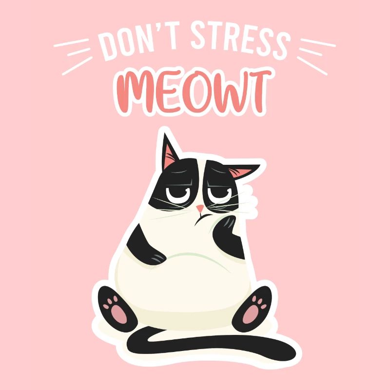 Ne stresse pas le chat