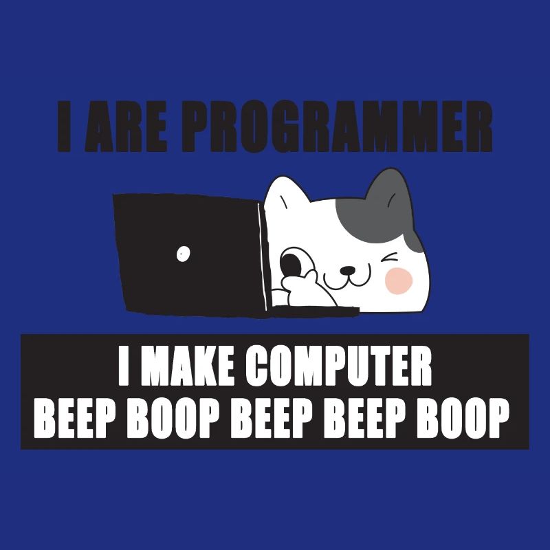 Ich bin Programmierer