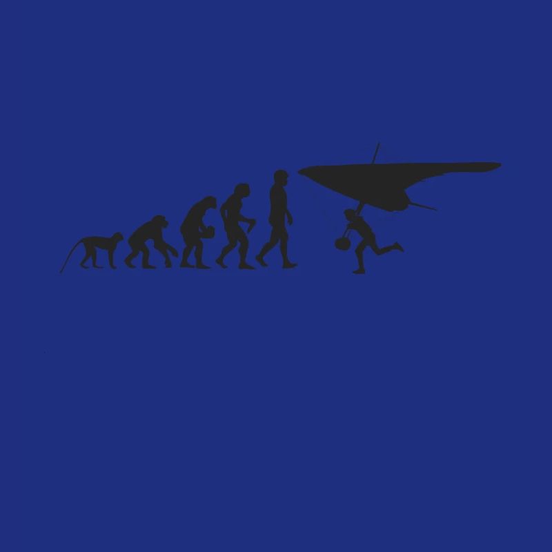 Evolution de planeur
