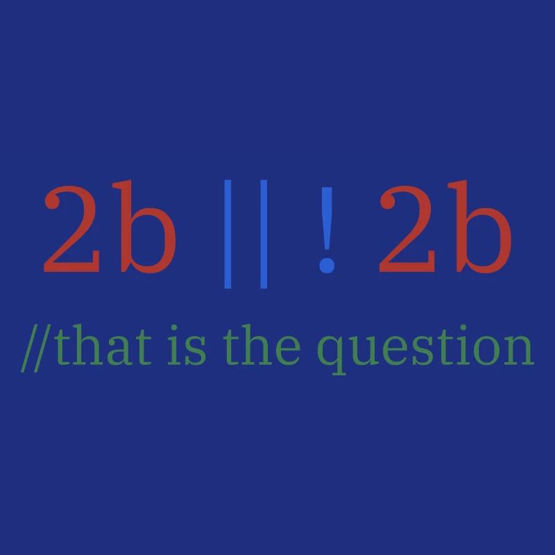 2b || !2b /Sein oder nicht sein/ Programmierer