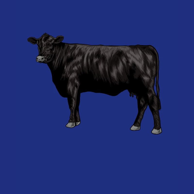 Zeichnung eines Black Angus Rind