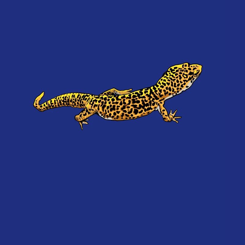 Dessin - Gecko léopard