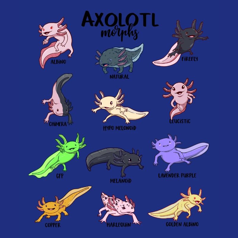 Various Kawaii Axolotls