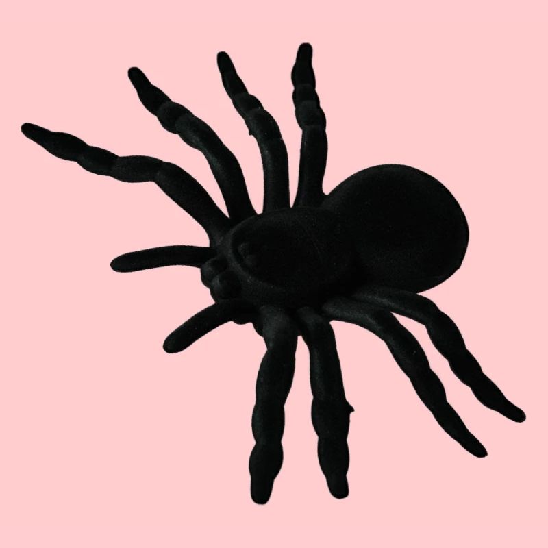 Spinnenweb, spinnenweb, spinnenfobie, walgelijk geschenk