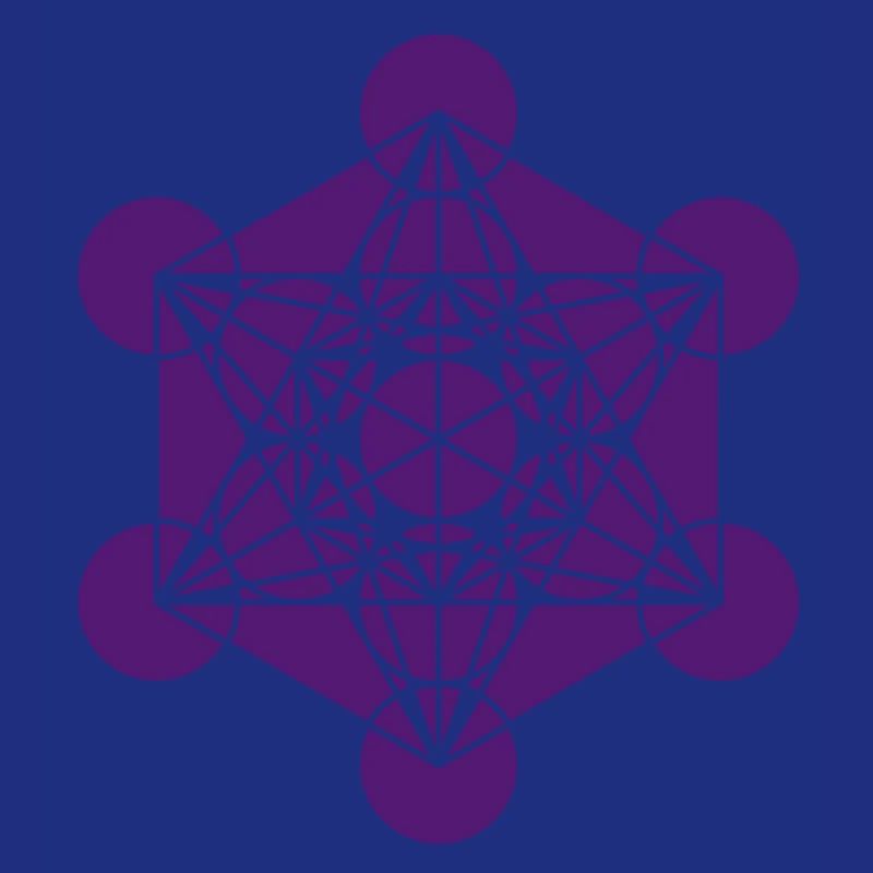 Metatrons Cube - Vector - Platonic Solids /