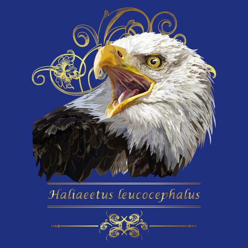 Bald eagle