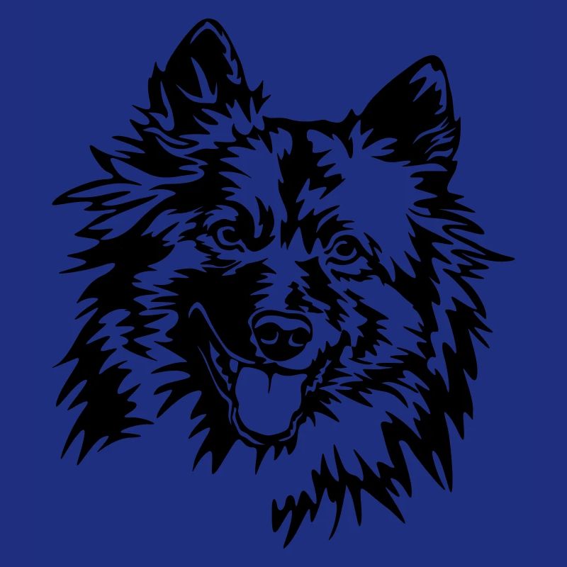 Wolfsspitz Kopf