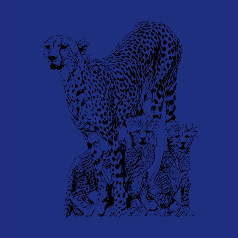 Guépard