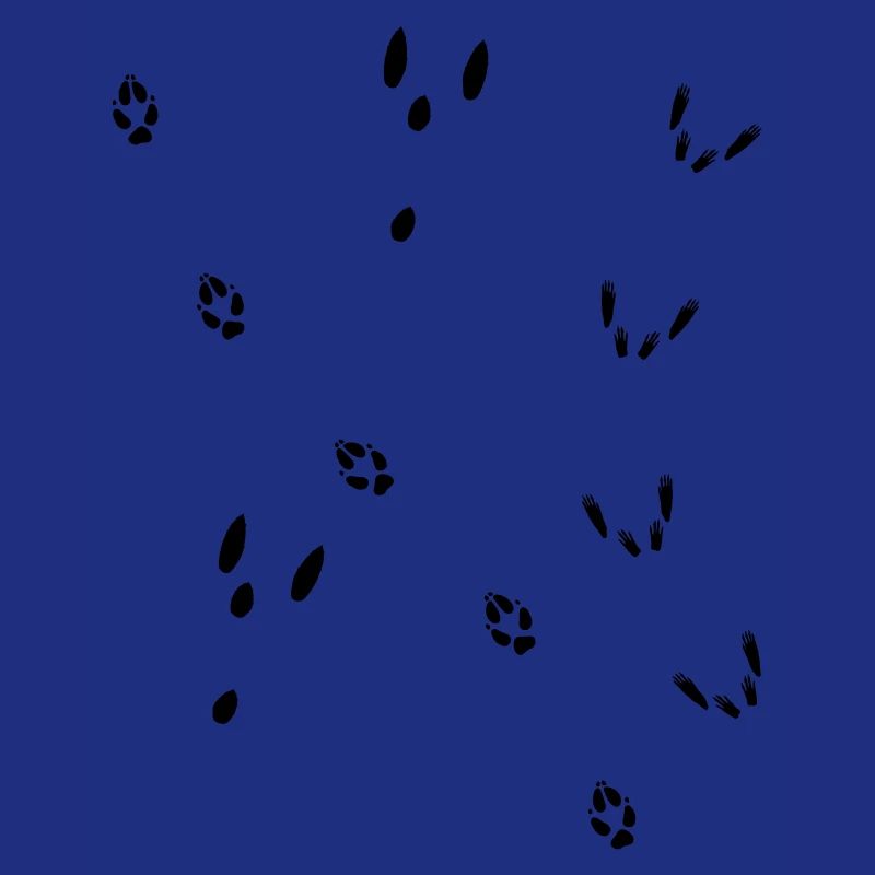 Fährte Fuchs, Hase, Eichhörnchen