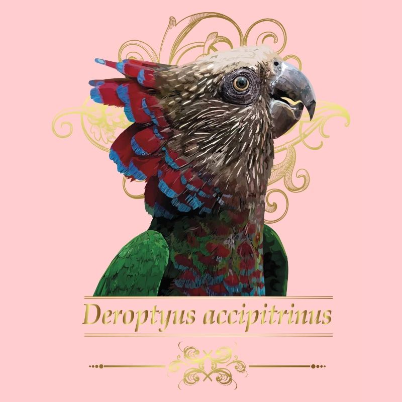 The cacique parrot