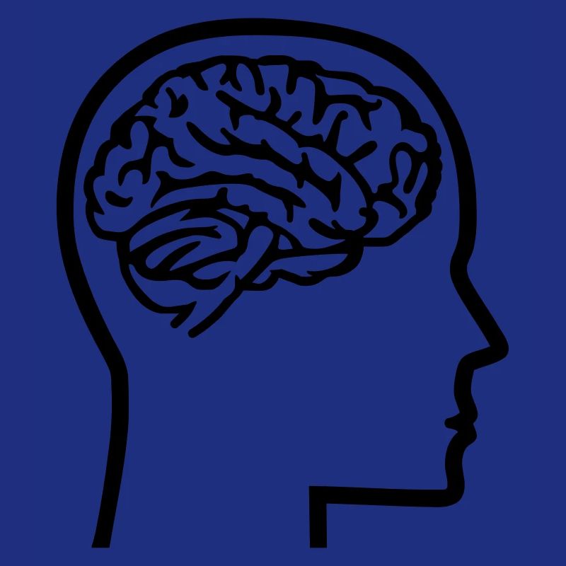 Brain
