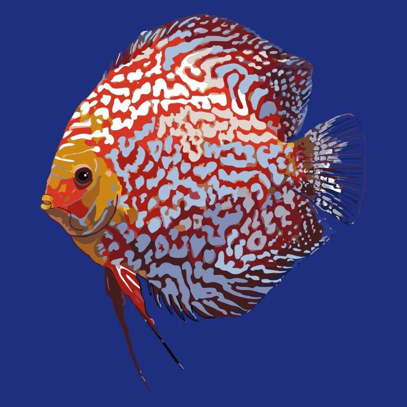 Discus