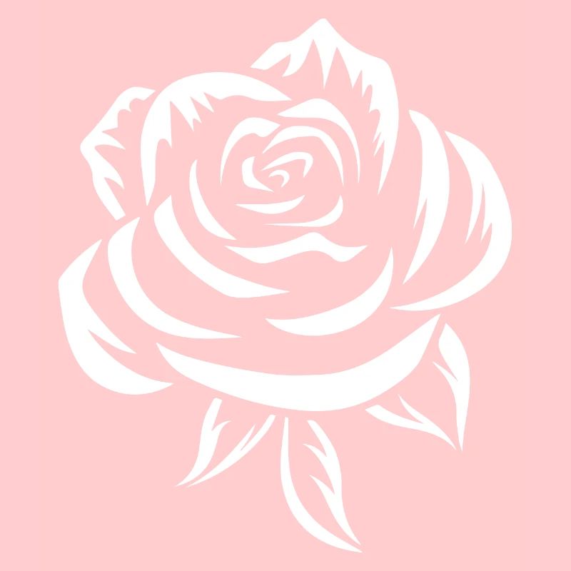 Rose blanche