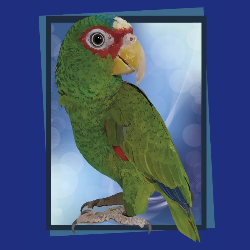 Perroquet à front blanc