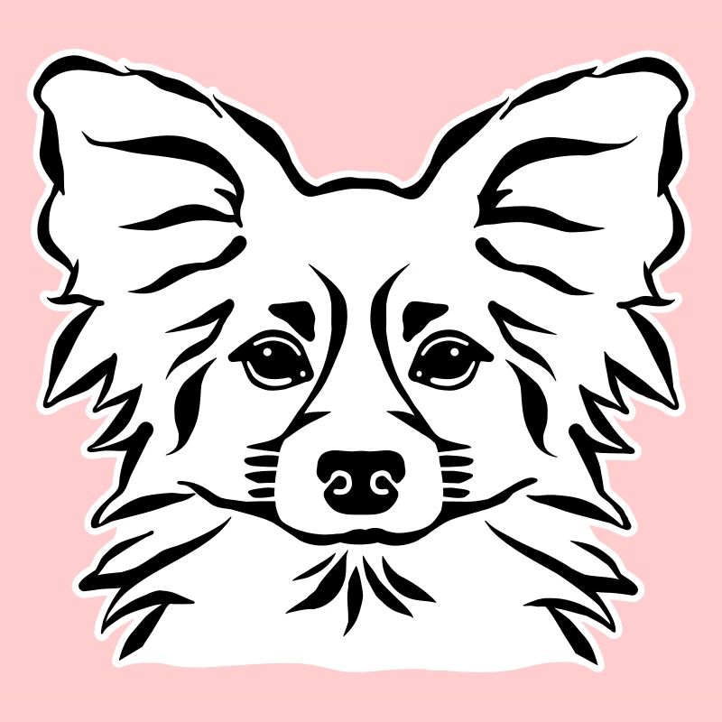 Papillon