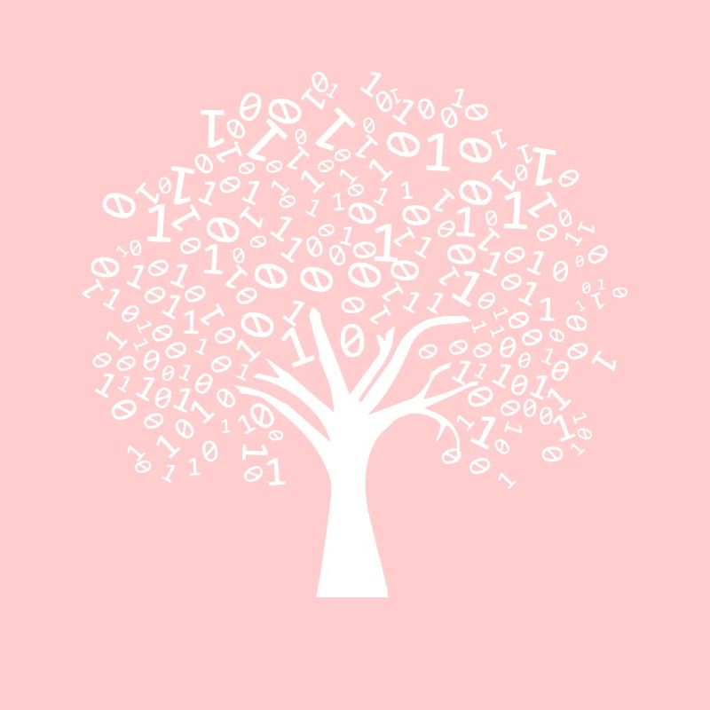 Programmeur Arbre binaire
