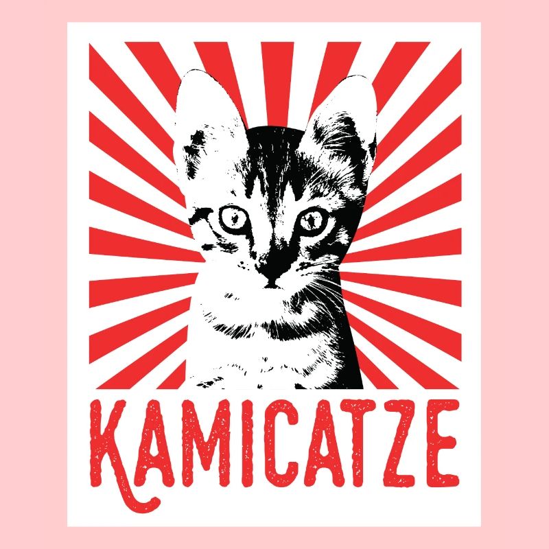 Kamicatze chat mignon chat chat grincheux chats chats