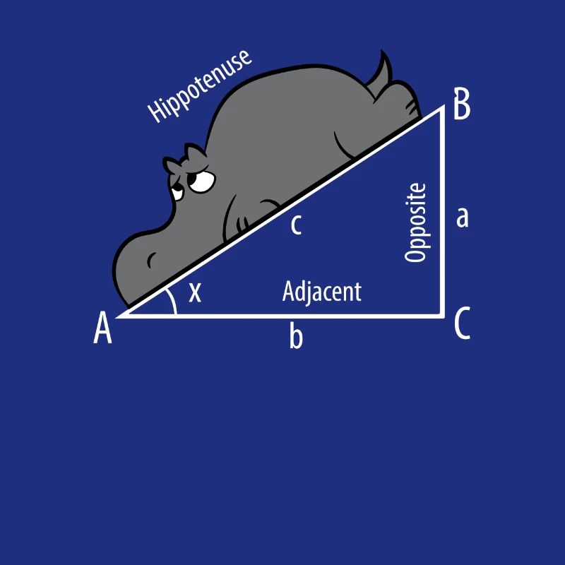 Mathe Pythagoras Hypothenuse Nilpferd Hippo