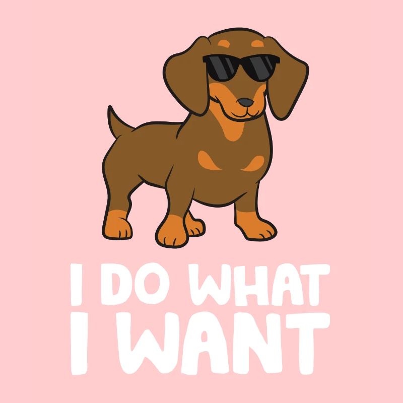 Teckel Chien Je fais ce que je veux Mignon