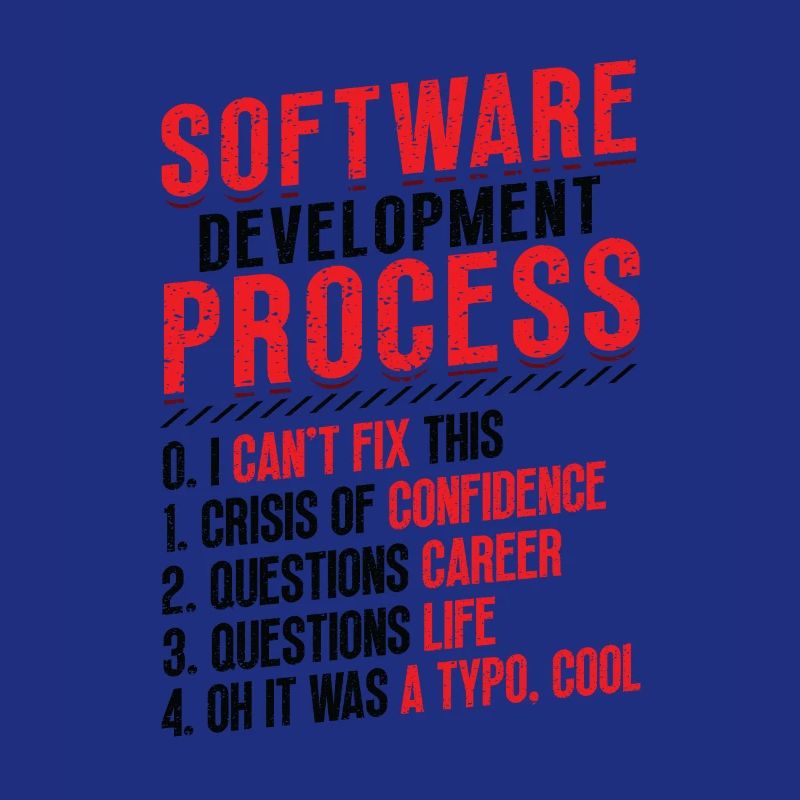 Software development process, programming